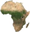 „L’oro verde“ dell’Africa per la lotta ai cambiamenti climatici